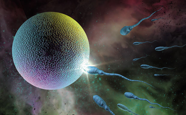 Блажи критеријуми за олигоспермију